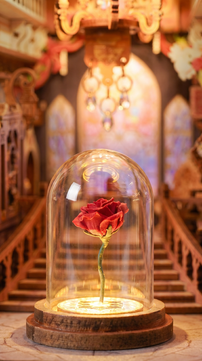 Beauty & The Beast